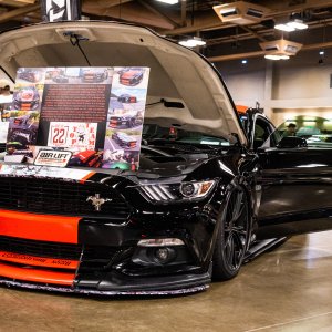 SlammedEnuff-45.jpg